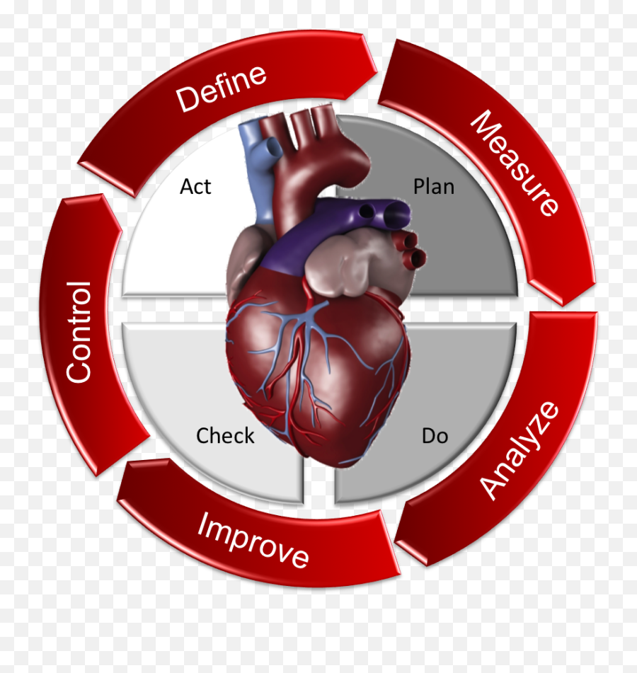 Osuwmc Cardiac Surgery Operations - Language Png,Problems To Be Solved Icon