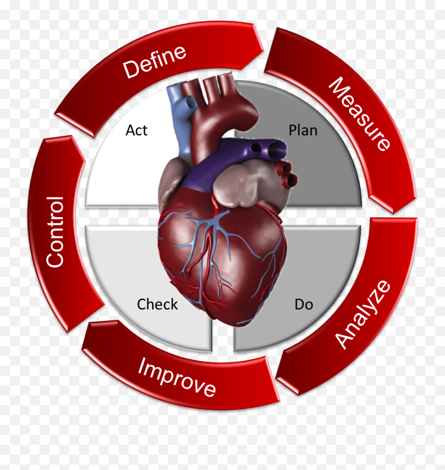 Esc cardiology. Сердце кардиология. Кардиохирургия сердце. Эмблема кардиохирургии. Кардиохирургия рисунок.