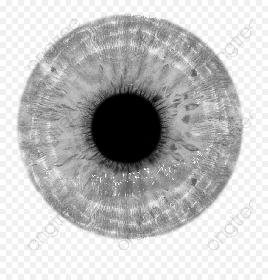 Download Free Png Gray Eye Eyeball - Magic Eye Images Free,Black Eye Png