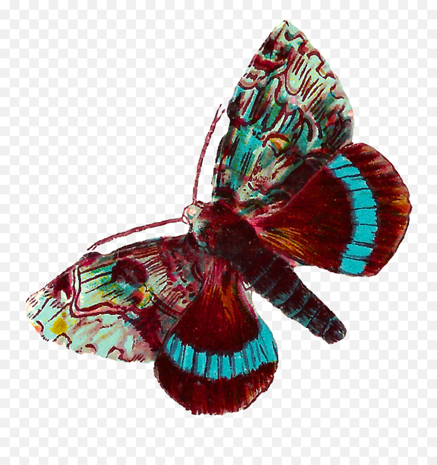 Download Blue Butterfly Clip Art - Portable Network Graphics Png,Blue Butterflies Png
