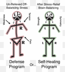 Stick Figures Mr Png Cropped With Labels - The Boston Illustration,Labels Png