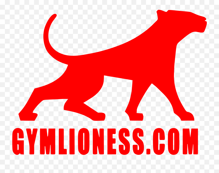 Home 3 Png Lioness Icon