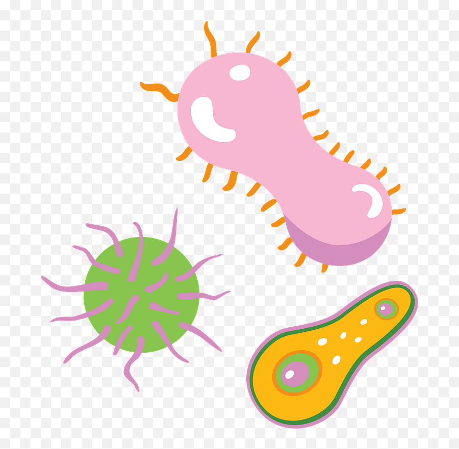 Bacteria Clipart Free Download Transparent Png Creazilla - Bacteria Clipart Transparent,Bacteria Icon Png