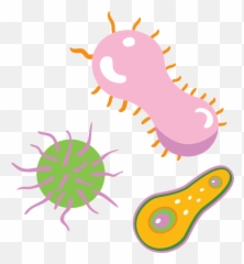 Bacteria Clipart Free Download Transparent Png Creazilla - Clipart Transparent