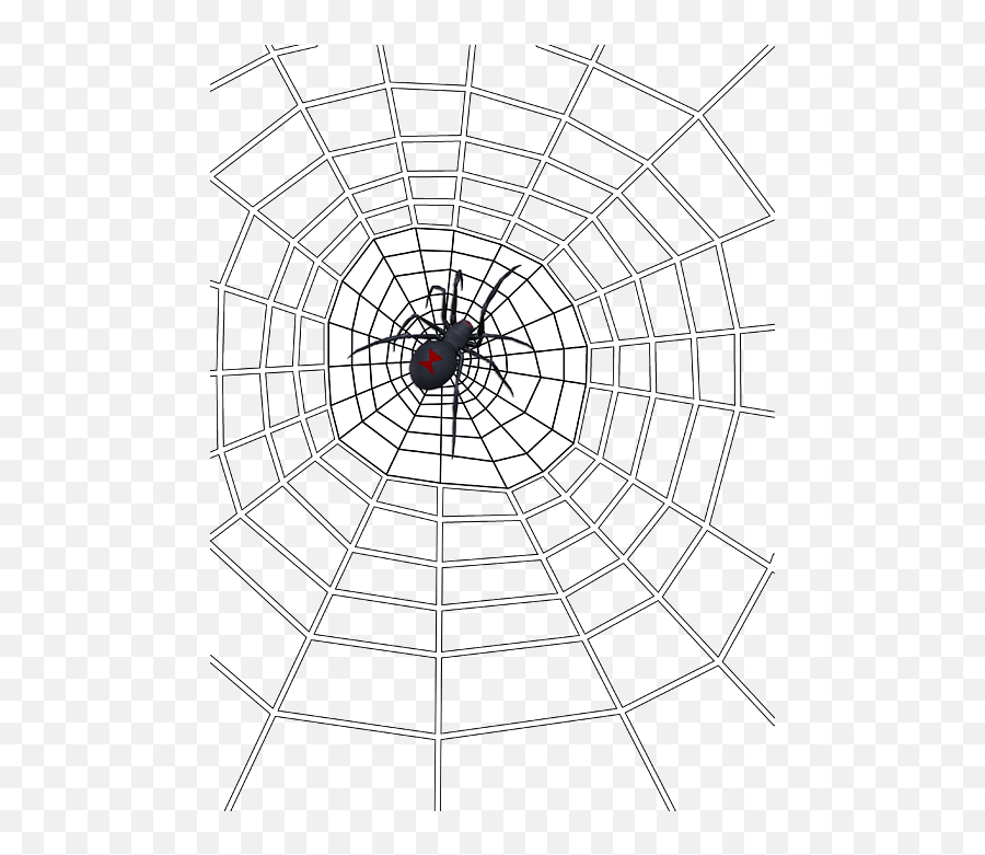 Black Widow Spider Web T - Shirt For Sale By Methune Hively Transparent Background Spiderman Web Png,Black Widow Icon