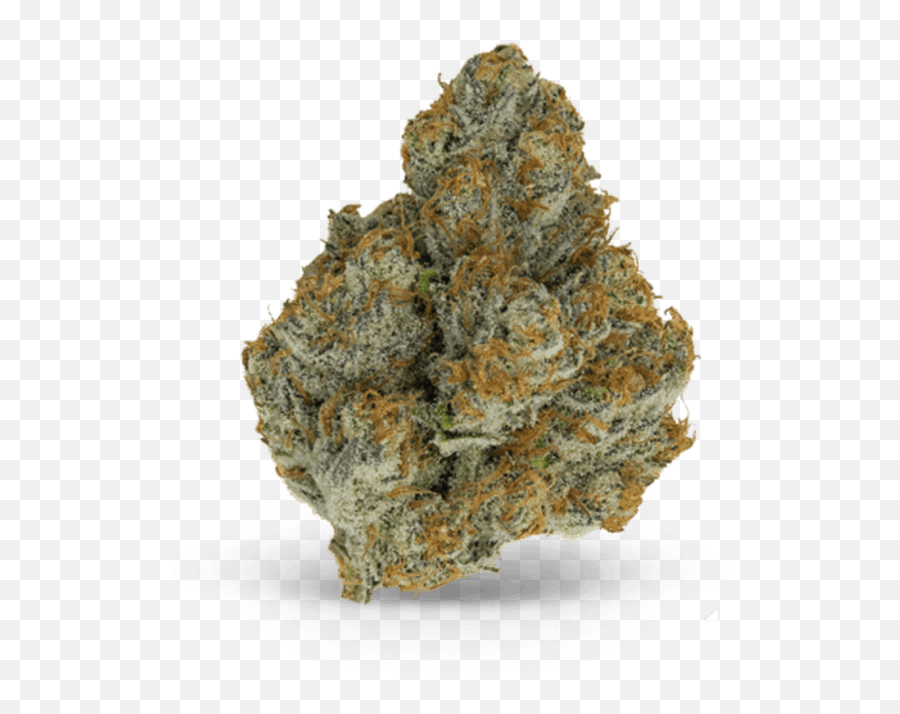 Medical Marijuana Home - Get Baku0027d Okc Edmond Oklahoma Weed Nug Transparent Background Png,Weed Transparent Background