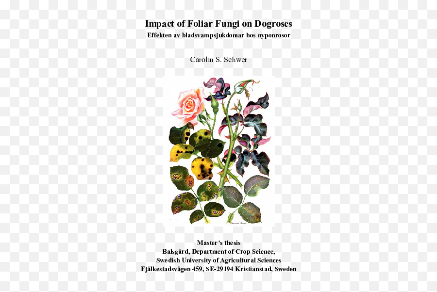 Pdf Impact Of Foliar Fungi Transparent PNG