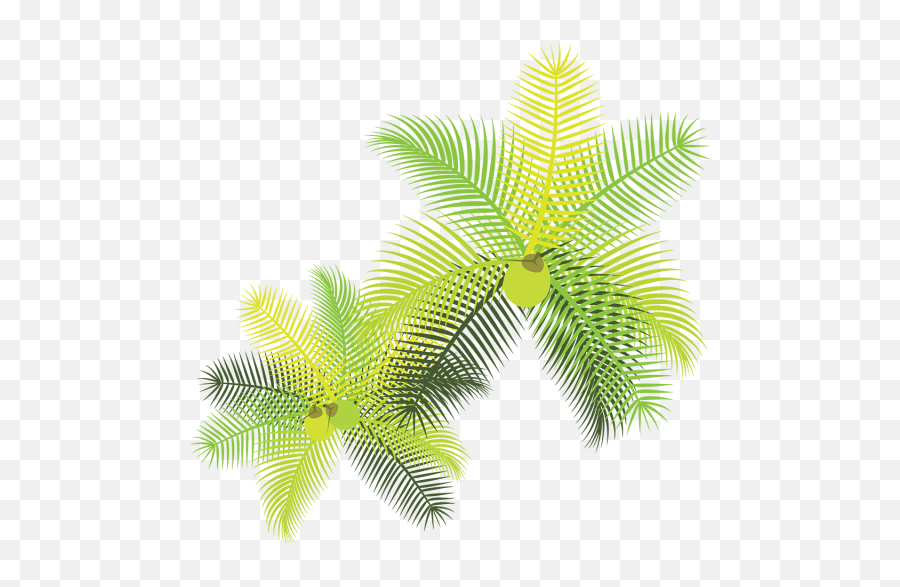 Palm Clipart Adobe Illustrator - Tropical Folhas De Palmeiras Png,Tropical Leaf Png