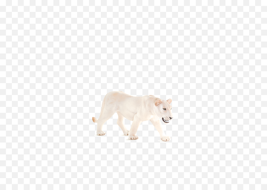 White Lioness Png Image