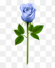 Rose Leaf Png - Purple Rose Clipart Png Download Transparent