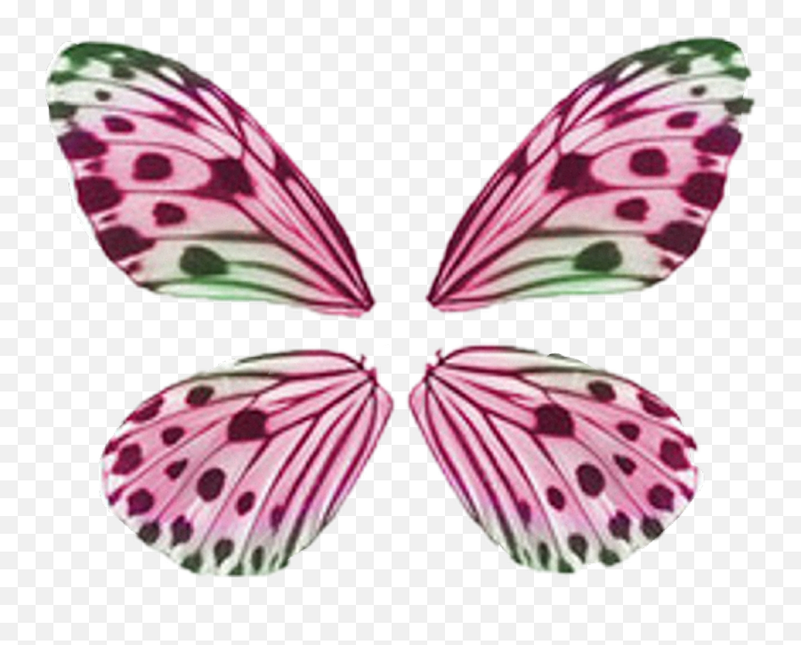 Buterfly Sticker - Butterfly Wings Png,Butterfly Wing Png