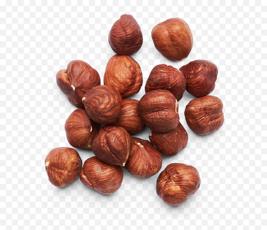 Hazelnuts Png 4 Image - Hazelnuts Transparent Background,Hazelnut Png