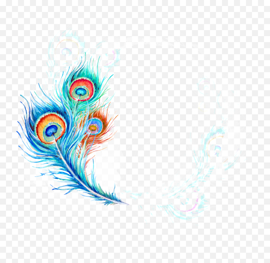Beautiful Hand Painted Hd Peacock Feather Png - Peafowl Beautiful Peacock Feather Images Hd,Peacock Png