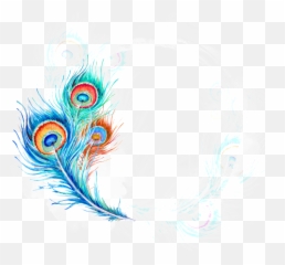 Beautiful Hand Painted Hd Peacock Feather Png - Peafowl Beautiful Peacock Feather Images Hd,Peacock Png