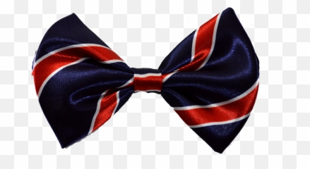 Download Hd Banner Royalty Free Red White Bow Gizmo - Silk Png,Gizmo Png