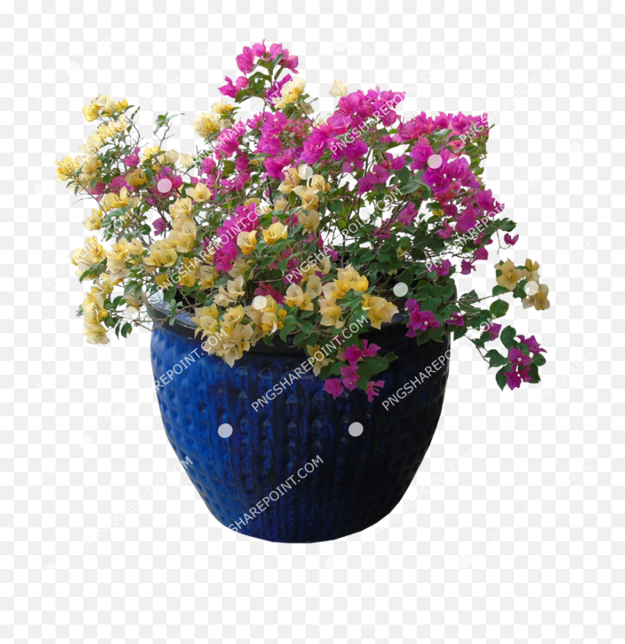 Pin By Pngsharepoint - Flowerpot,Bougainvillea Png