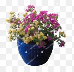 Pin By Pngsharepoint - Flowerpot,Bougainvillea Png