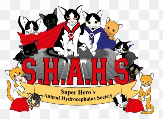 Super Hero Logo - Cartoon Png,Super Hero Logo