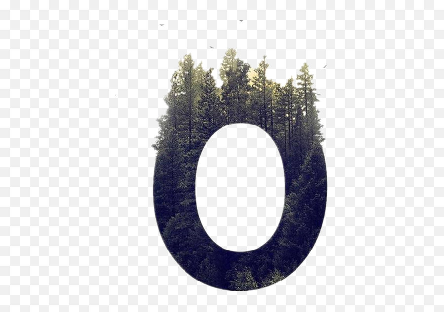 Fullscreen Page Wixtest - Trees Growing Out Of Letters Png,Letter O Png