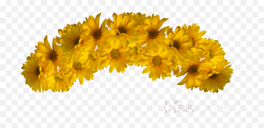 Garland Yellow Cliparts Transparent Png - Yellow Flowers Crown Png,Flower Crown Transparent Png