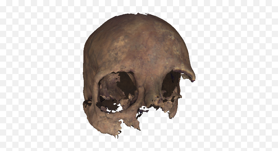 Transparent Skull Face Png Image - Skull,Skull Face Png