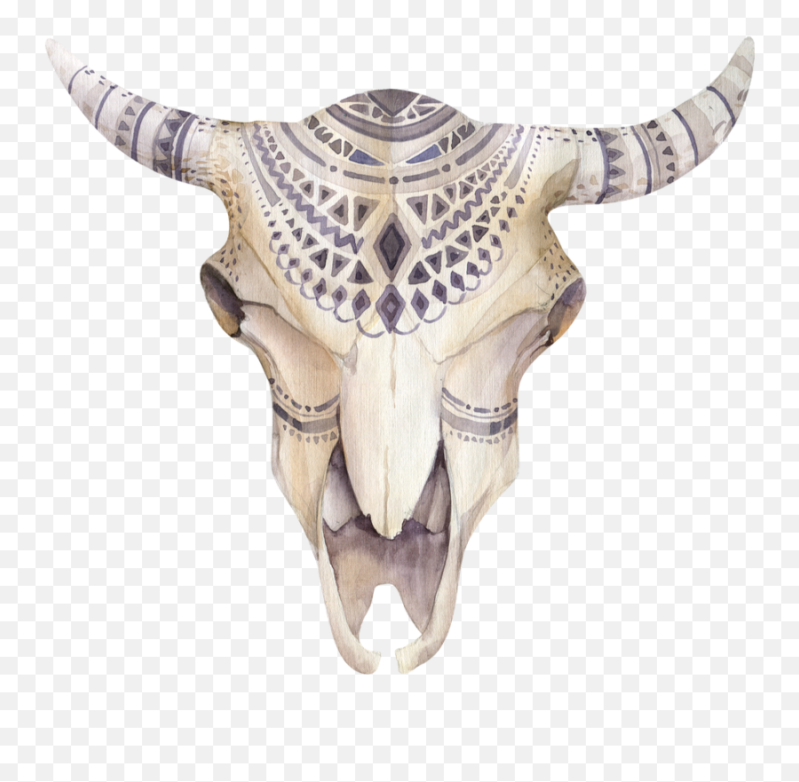 Download Boho Animal Skull Png - Water Paint Of Flower,Cow Skull Png
