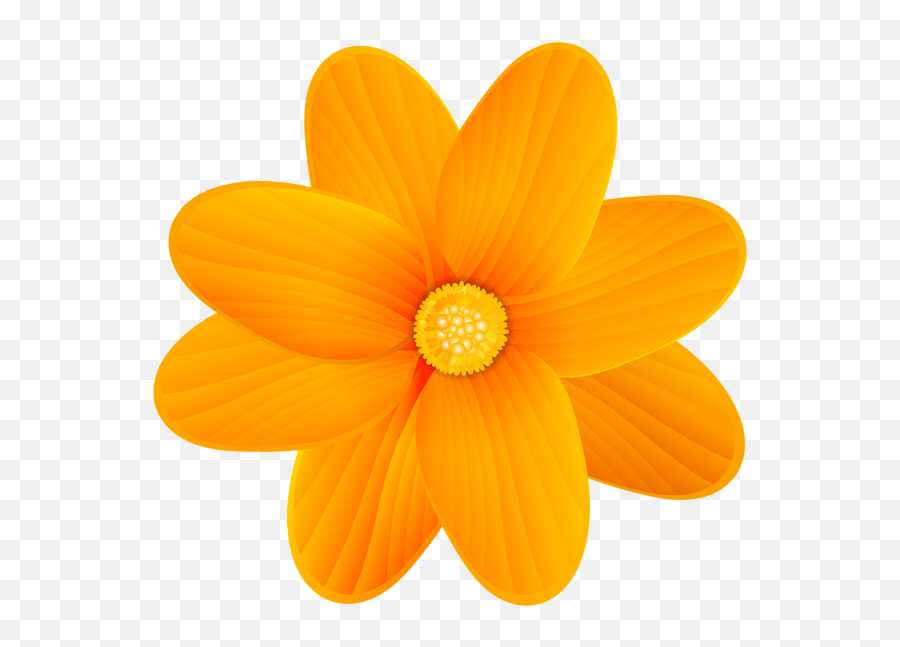 Flower Yellow Clip Art - Desenho De Flor De Laranjeira Png,Orange Flower Png