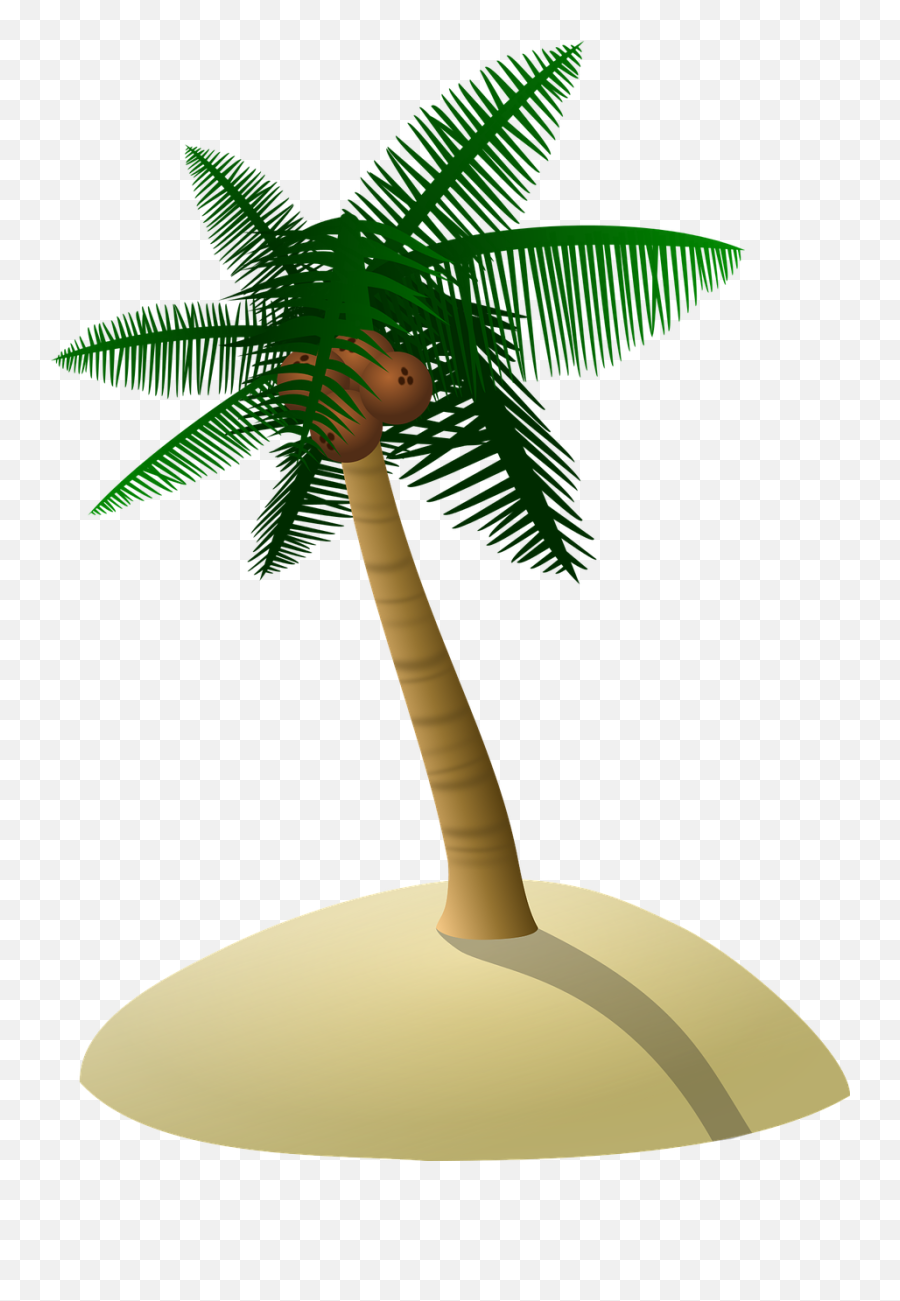 Download Free Photo Of Coconut Treepalm Treedunetree - Pohon Kelapa Vektor Png,Palm Tree Leaves Png