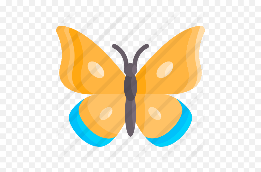 Butterfly - Girly Png,Star Butterfly Icon