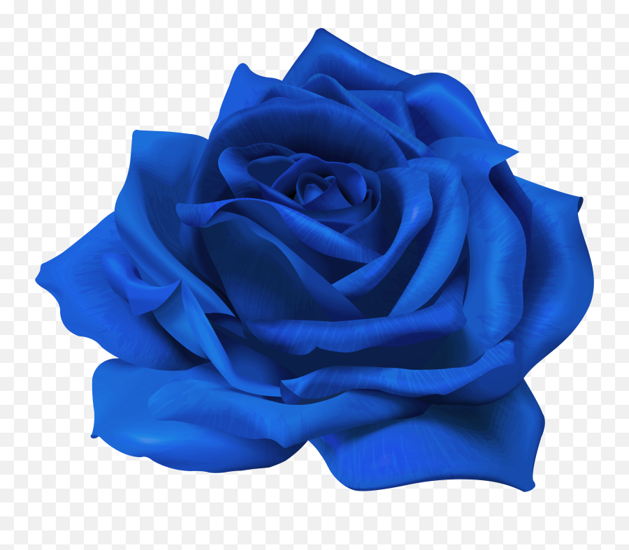 Download Free Png Blue Flower Rose - Transparent Purple Flower Png,Blue Flowers Png
