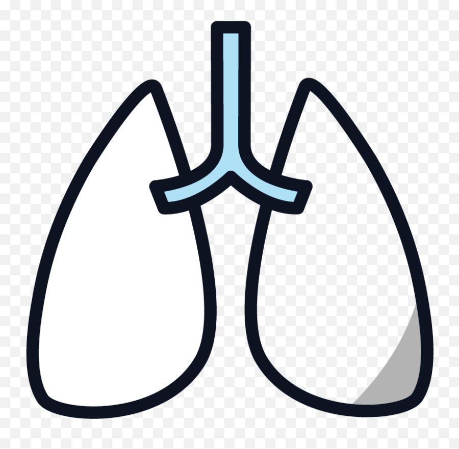 Mesothelioma Stages - Language Png,Prognosis Icon