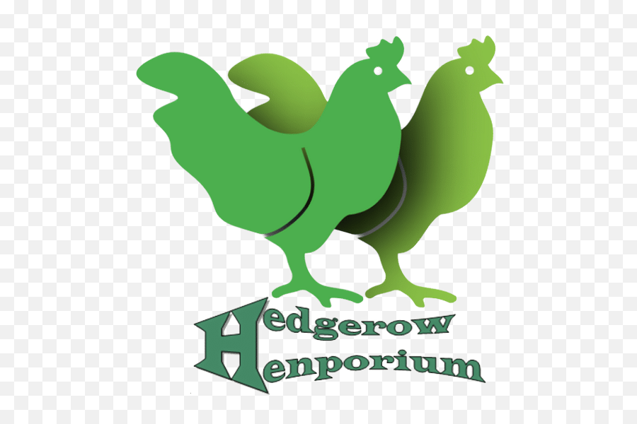 Chicken Maths U003d How Many Chickens - Hedgerow Henporium For Comb Png,Chicken Icon