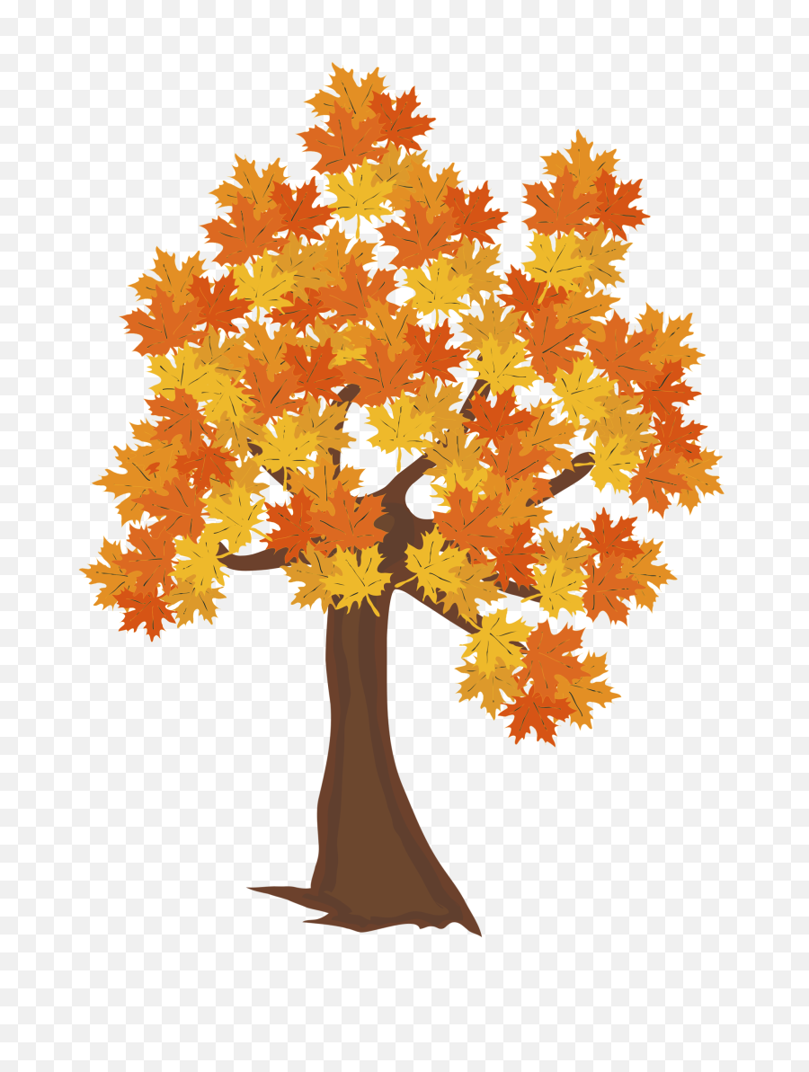 Download Fall Tree Png Image - Autumn Tree Drawing Png,Orange Tree Png