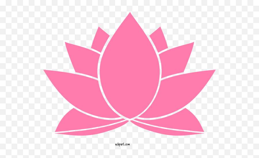 Flowers Pink Lotus Family Leaf For Flower - Lotus Flower Png,Charisma Icon