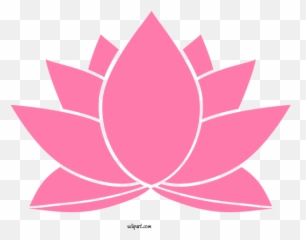 Flowers Pink Lotus Family Leaf For - png