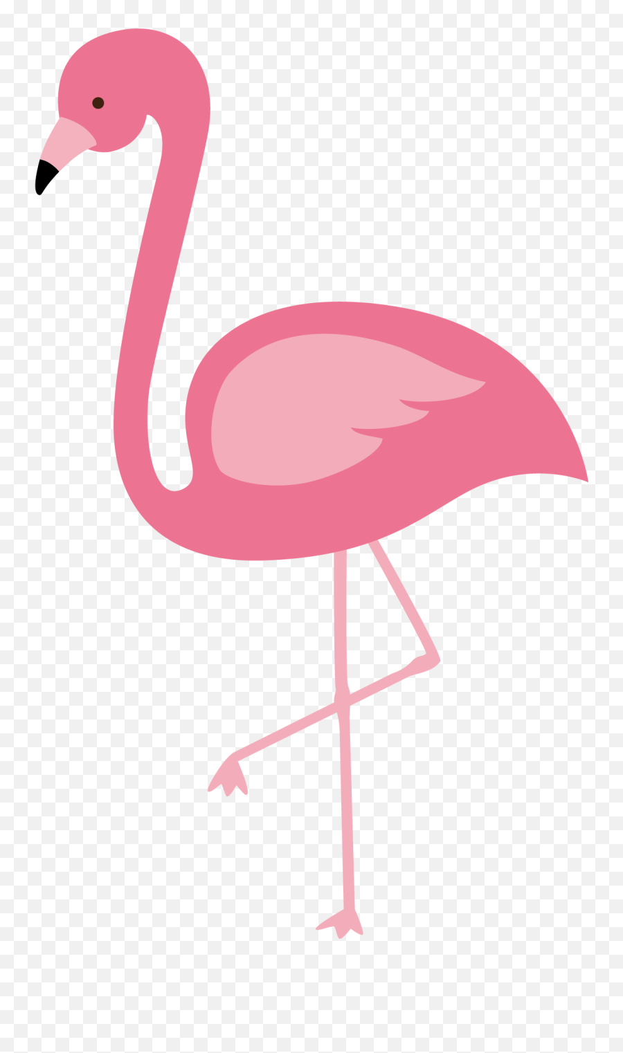 Flamingo Transparent Background Png - Transparent Background Flamingo Png,Flamingo Transparent Background