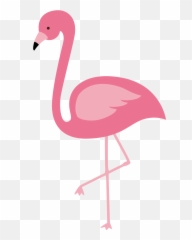Flamingo Transparent Background Png