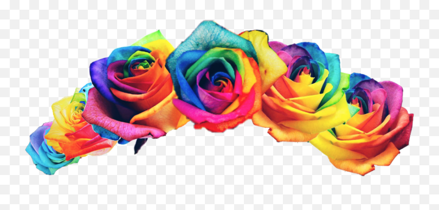 Rainbow Rainbowflower Flowercrown Pride - Rainbow Flower Rainbow Roses Png,Rainbow Transparent Background