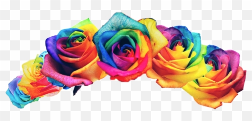Rainbow Rainbowflower Flowercrown Pride - Rainbow Flower Roses Png