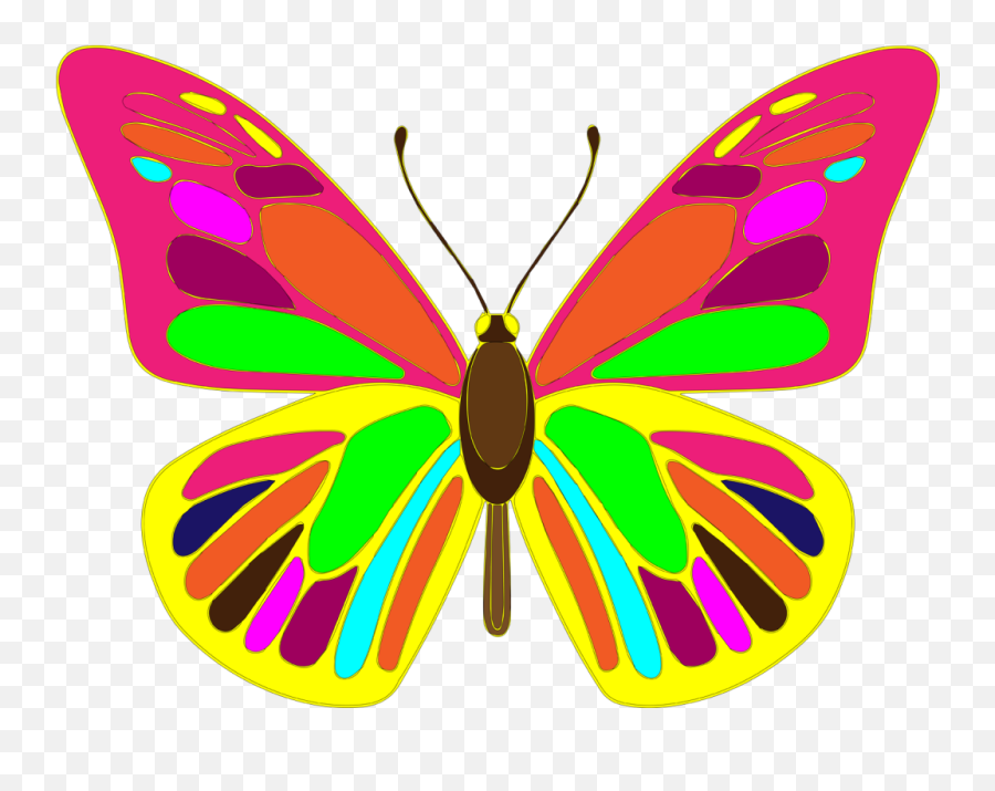 Download Hd Free Butterfly Vector Art - Butterfly Vector Hd Png,Butterfly Vector Png