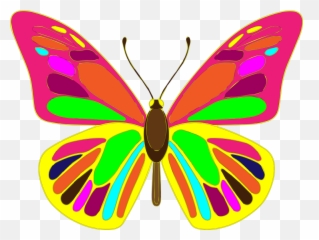 Download Hd Free Butterfly Vector Art - Butterfly Vector Hd Png,Butterfly Vector Png