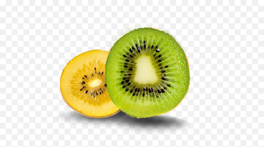 Kiwifruit Post - Harvest Capability Apata Group Limited Green And Gold Kiwi Png,Kiwi Transparent