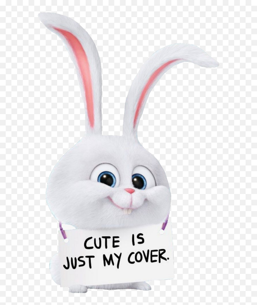 Pets Rabbit Snowball Png Clipart - Cute Mobile Wallpaper Hd,Rabbit Clipart  Png - free transparent png images 