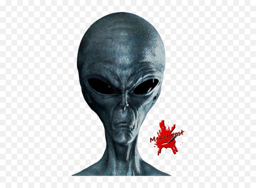 Alien Gray - One Alien Png,Alien Head Png