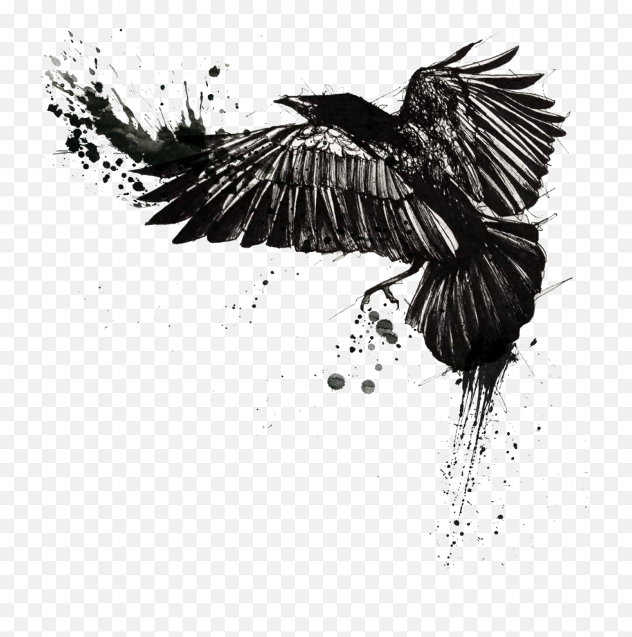 Tattoo Common Raven Trash Polka Crow - R 1156435 Png Raven Trash Polka Tattoo,Raven Silhouette Png