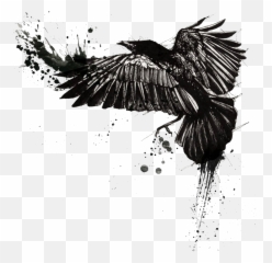 Tattoo Common Raven Trash Polka Crow - 1156435 PNG
