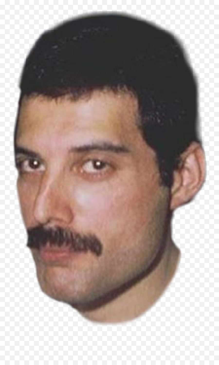 Freddie Mercury Face Png - Freddie Mercury Face Transparent Background,Freddie Mercury Png