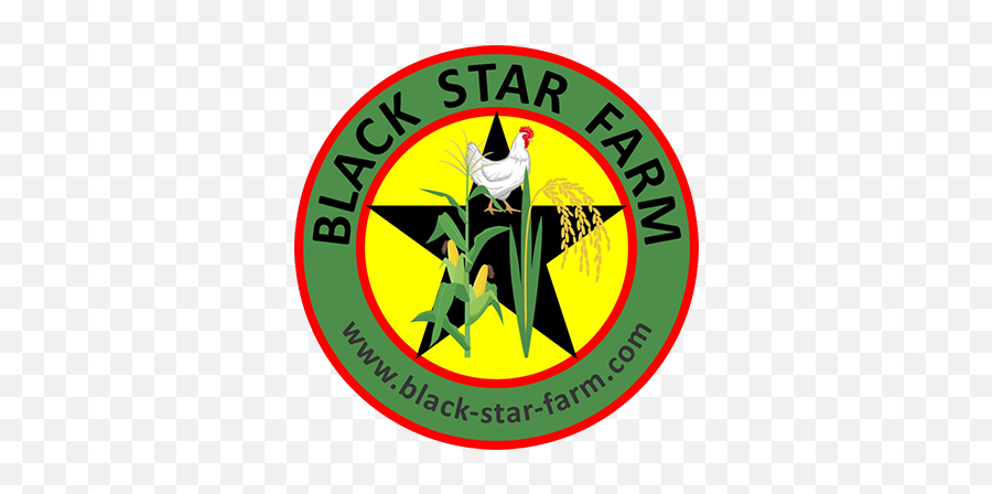 Community - Emblem Png,Black Star Logo