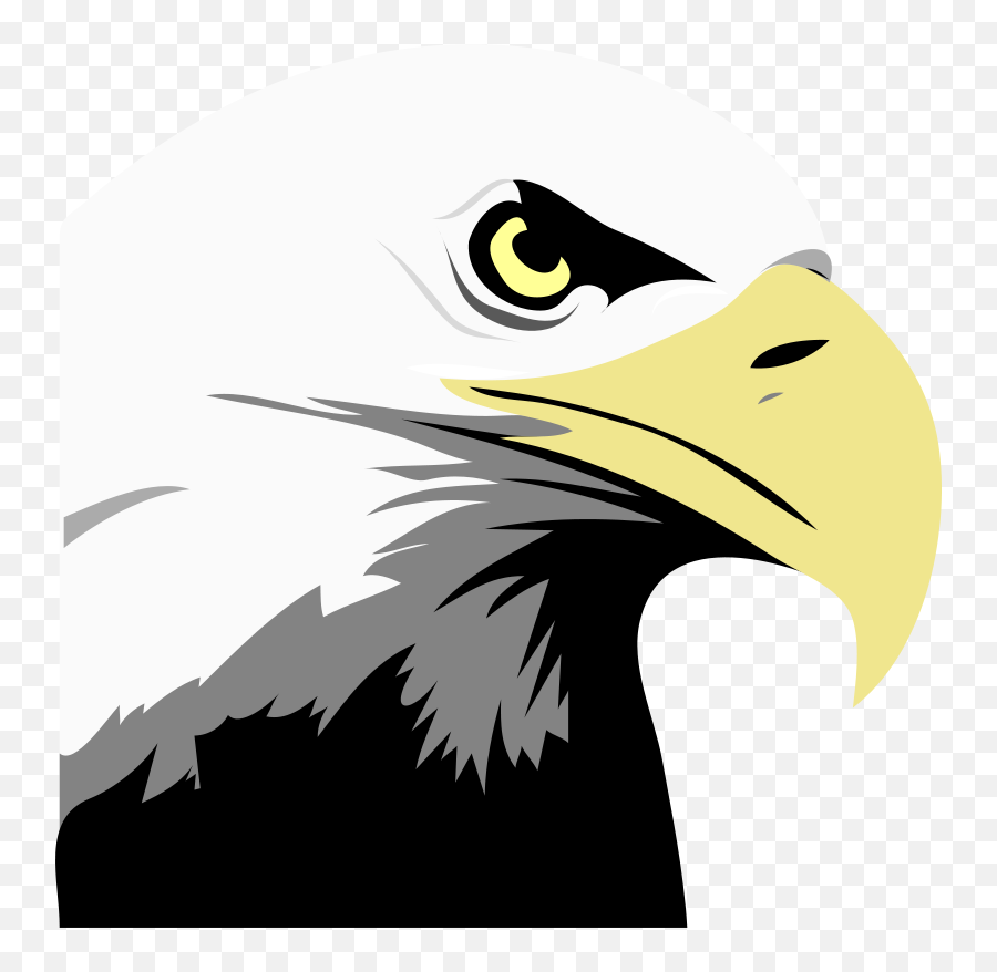 Symbols Eagle Png Transparent Background Free Download - Bald Eagle Clipart,Eagle Png