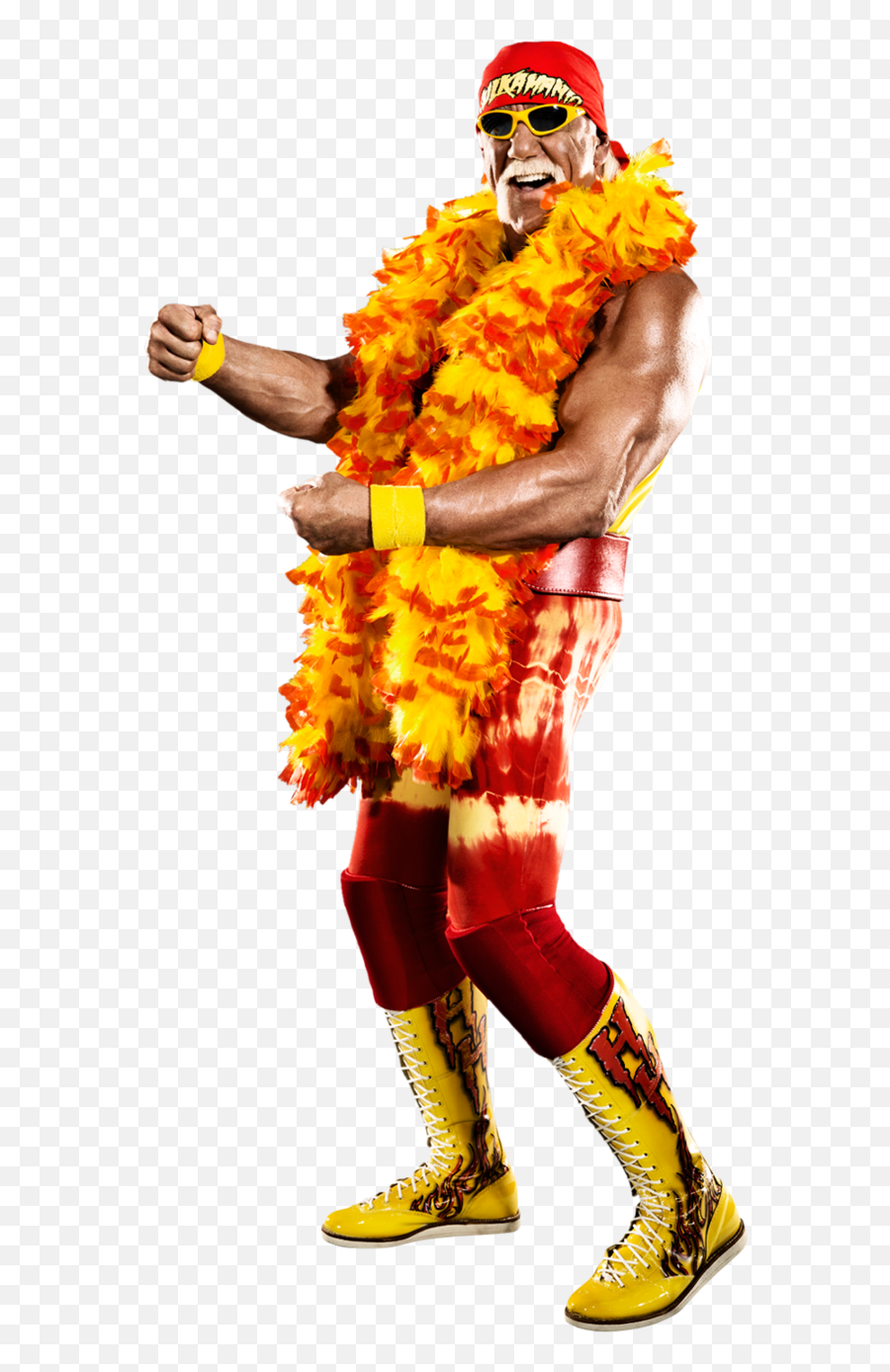 Wwe Hulk Hogan Png Transparent - Hulk Hogan Transparent Png,Hulk Hogan Png